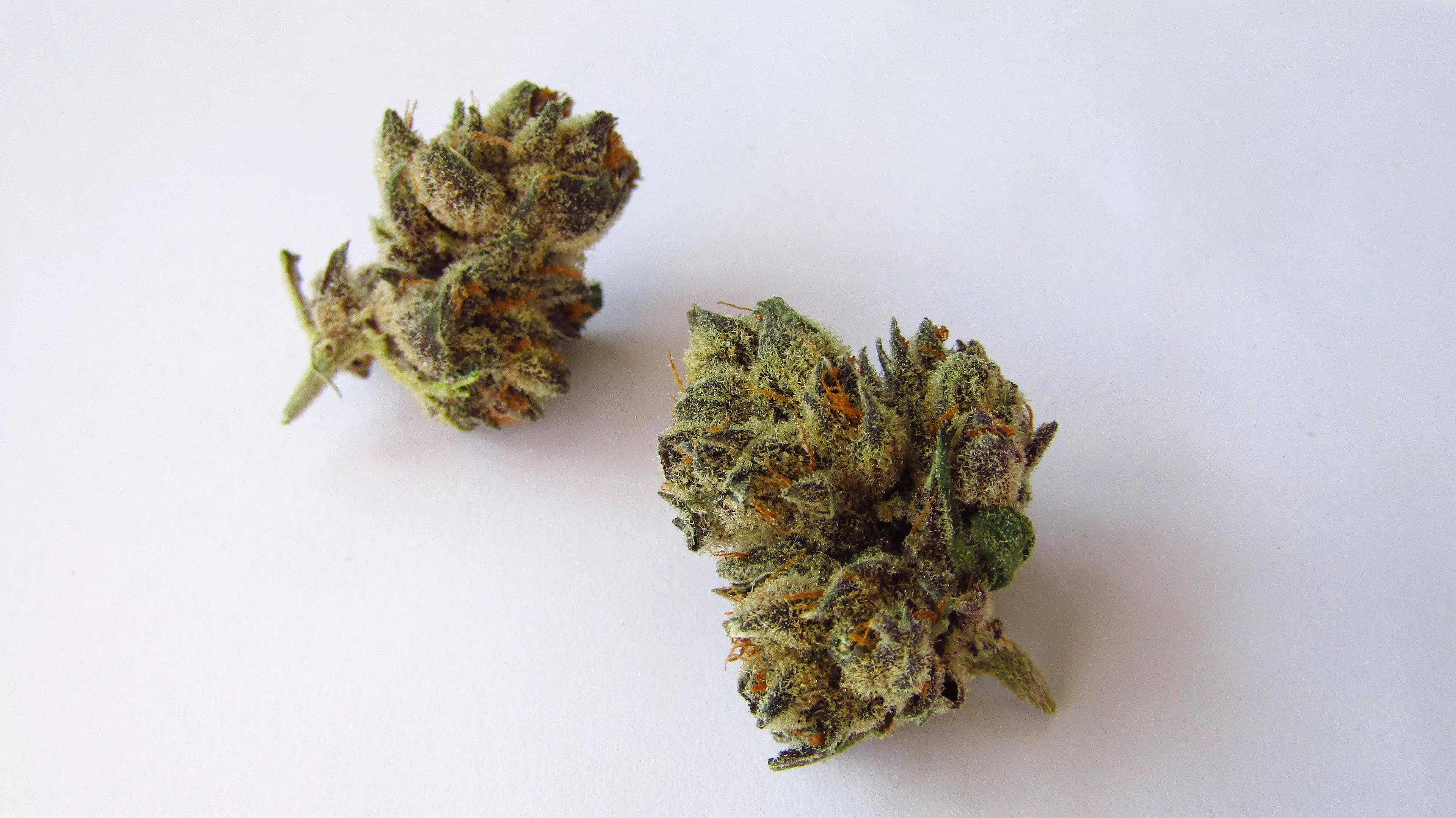 Fort lauderdale weed delivery and Product Freshness Standards
