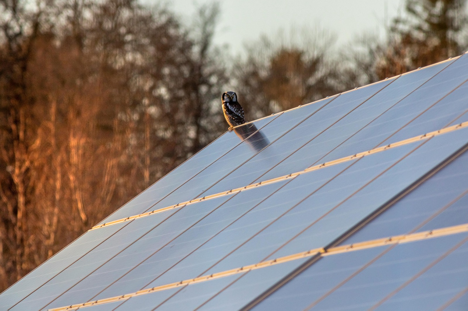 Expert Solar and Battery Storage Installation Services for Your Home