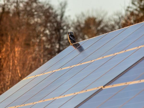 Expert Solar and Battery Storage Installation Services for Your Home