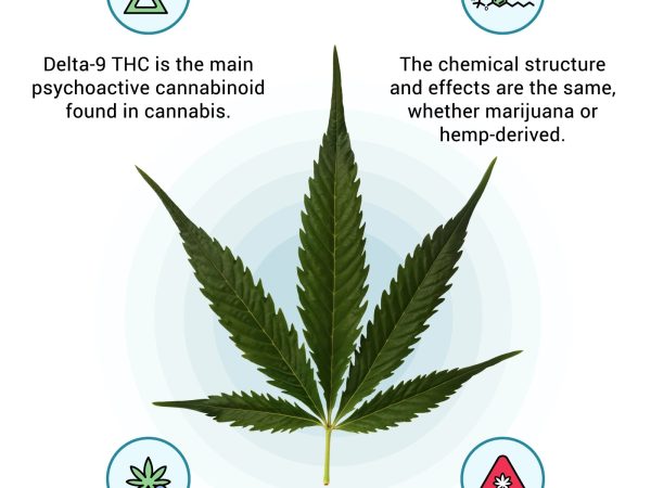How Delta 9 Fits Into the Expanding Cannabinoid Market