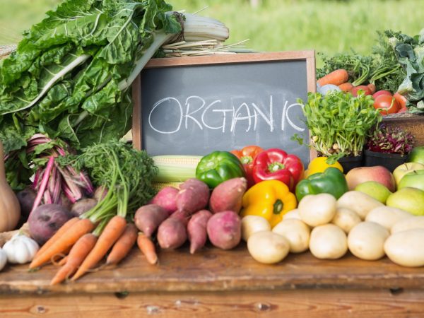 Why Organic Take-Out Is Better for Your Body